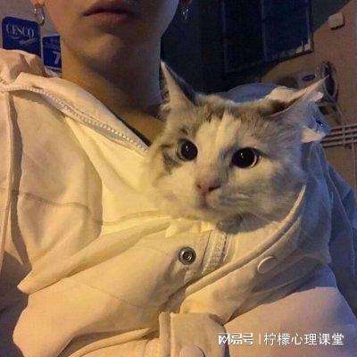 繁荣融合打造动物城官方版下载